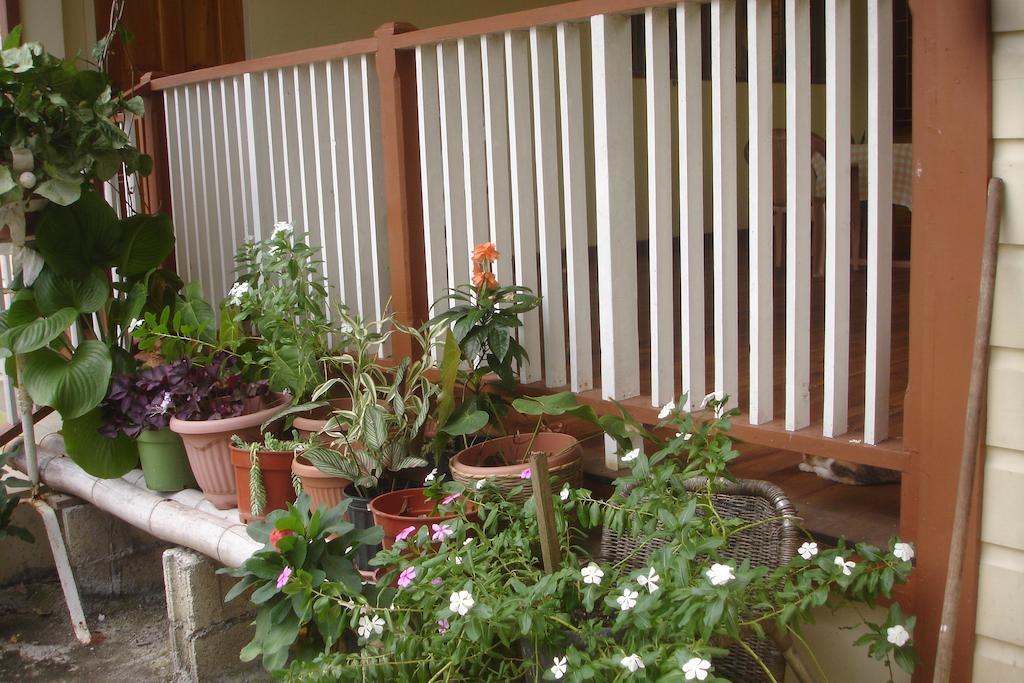 بورت أنطونيو Finjam Cottage المظهر الخارجي الصورة