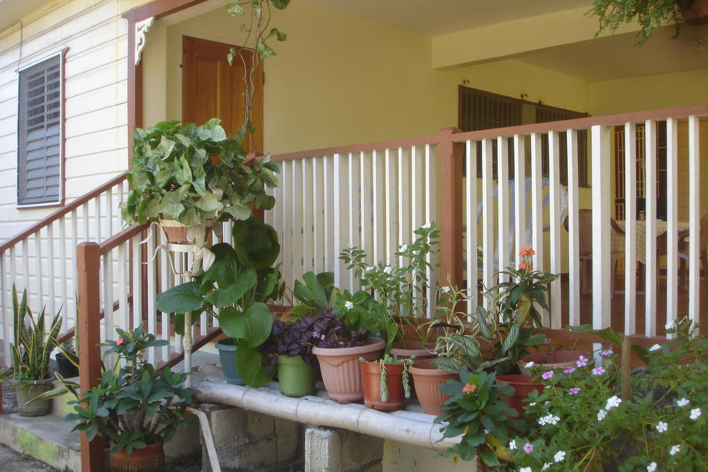 بورت أنطونيو Finjam Cottage المظهر الخارجي الصورة
